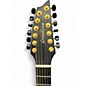 Used Breedlove OREGON CONCERTO BOURBON BOURBON BURST 12 String Acoustic Electric Guitar