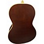 Used Recording King RPS-11-FE3-TBR DARK BROWN Acoustic Guitar