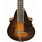Vintage 1936 Martin 2-20 MANDOLIN SHADED Mandolin