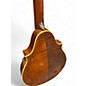 Vintage 1936 Martin 2-20 MANDOLIN SHADED Mandolin