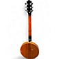 Used Stagg 6 STRING DELUXE BLUEGRASS BANJO Mahogany Banjo