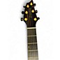 Used Breedlove Oregon Concert Tigers Eye CE LTD Tigers Eye Acoustic Electric Guitar