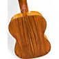 Used Giannini AWN100 Natural Classical Acoustic Guitar