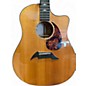 Used Breedlove FOCUS MAPLED Maple Acoustic Guitar