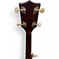 Used Rover RB25 Black and White Banjo