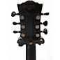 Used Firefly elite Black Solid Body Electric Guitar