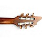 Used Breedlove Pursuit Nylon Natural Classical Acoustic Electric Guitar