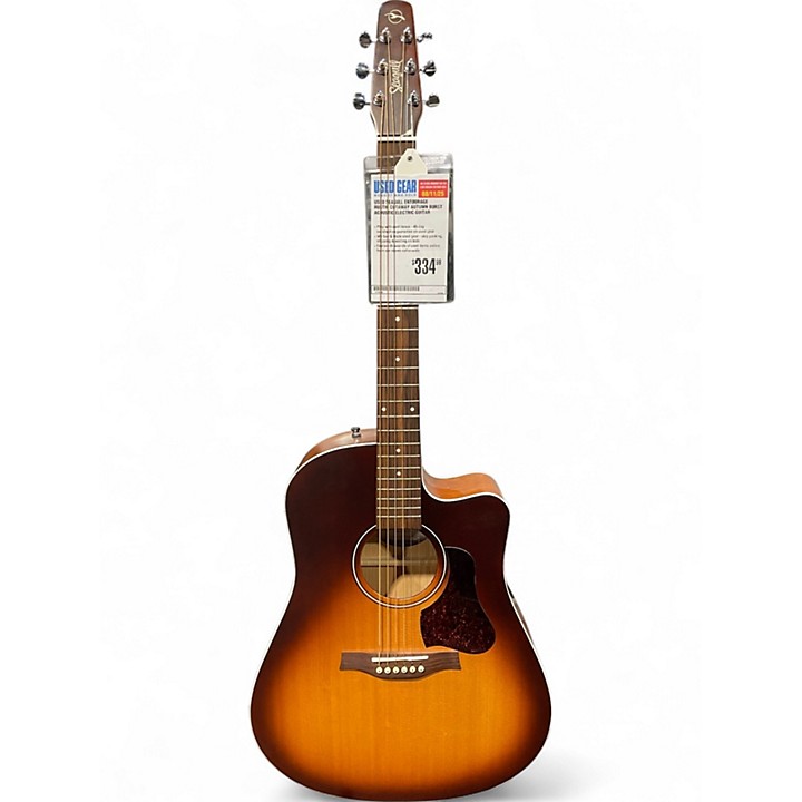 ギター Seagull Entourage Autumn Burst Seagull Entourage Autumn Burst acoustic guitar for sale at