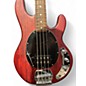 Used Sterling by Music Man STINGRAY Crimson Red Trans Electric Bass Guitar