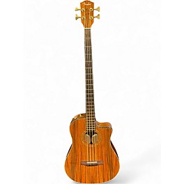 Used Fender Victor Bailey Acoustic Bass Natural 2008 Natural Acoustic Bass Guitar
