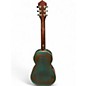 Used Recording King RM993-VG Distressed Vintage Green Resonator Guitar
