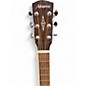 Used Alvarez MD60 Herringbome Natural Acoustic Guitar