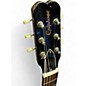 Vintage 1965 Epiphone Olympic 2 Tone Sunburst Solid Body Electric Guitar