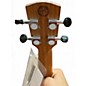 Used Alvarez GDU26C Veneta VENETA Ukulele