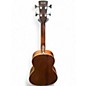 Used Ibanez PNB14E Mahogany Acoustic Bass Guitar