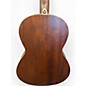 Used Ibanez PNB14E Mahogany Acoustic Bass Guitar