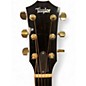 Used Taylor 614CE Natural Acoustic Electric Guitar