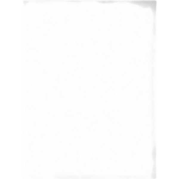 Used Mooer 017 CALI-MK IV Effect Pedal