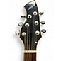 Used Wechter Guitars 3120 Natural Acoustic Electric Guitar