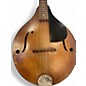 Vintage 1950s Stradolin A Style Mandolin Natural Mandolin