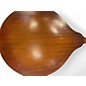 Vintage 1950s Stradolin A Style Mandolin Natural Mandolin