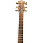 Used Ken Smith BSR6 6 String Walnut Electric Bass Guitar