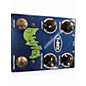 Used T-Rex Engineering Whirlyverb Reverb Effect Pedal