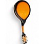 Used Mitchell AM100 2 Color Sunburst Mandolin