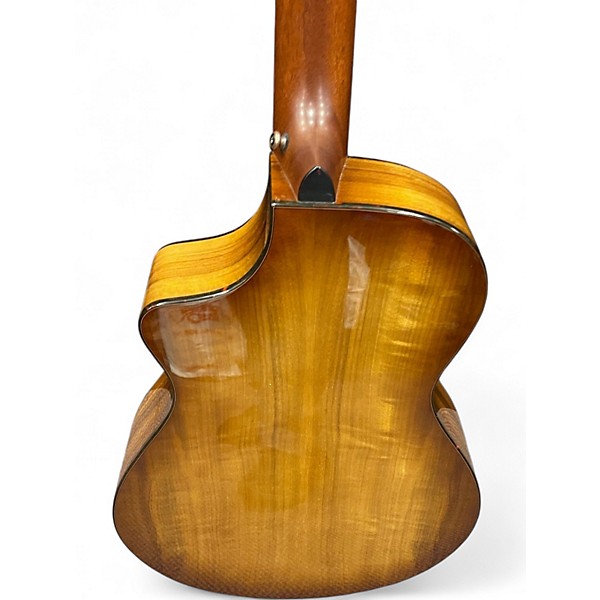 Used Breedlove  ECO Pursuit Exotic S Concert CE  natural Classical Acoustic Electric Guitar