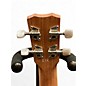 Used Cordoba 15CM-E Brown Ukulele