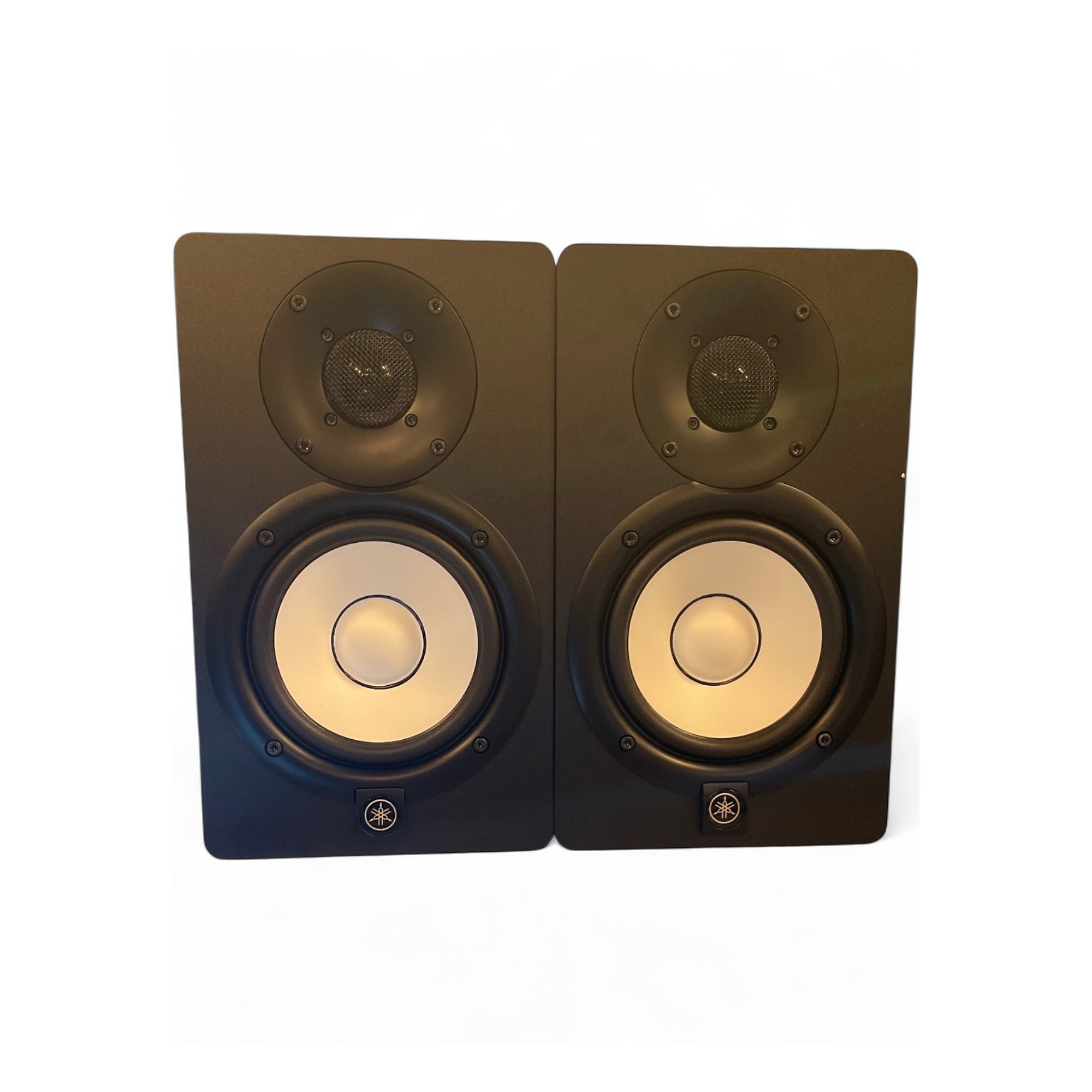 その他 Powered Monitor Speaker Alto TS415 15