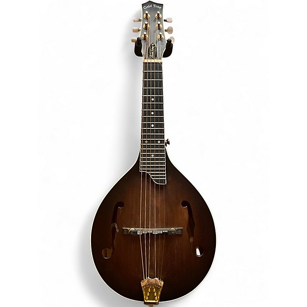 Used Gold Tone GM 6+ DARK BURST Mandolin