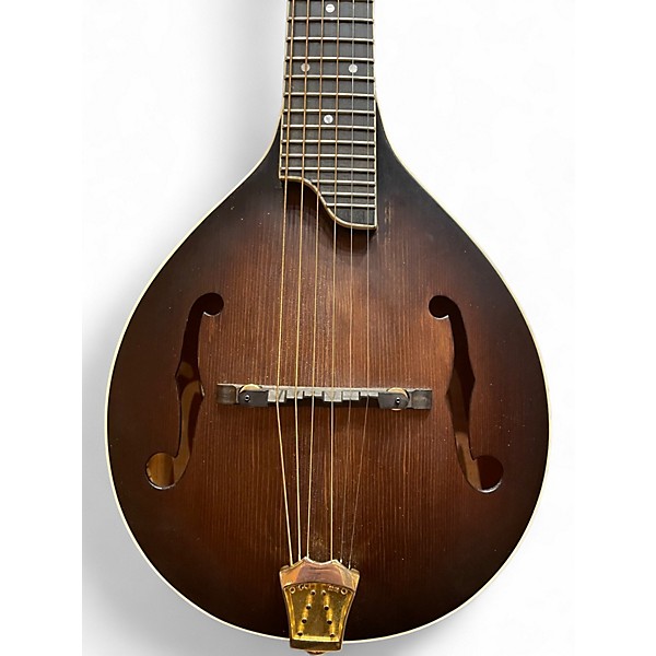 Used Gold Tone GM 6+ DARK BURST Mandolin