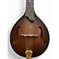 Used Gold Tone GM 6+ DARK BURST Mandolin