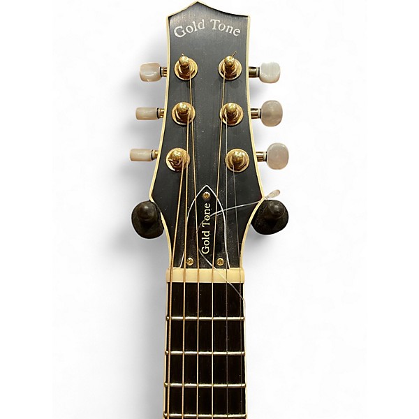 Used Gold Tone GM 6+ DARK BURST Mandolin