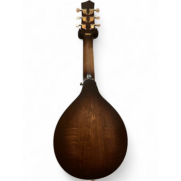 Used Gold Tone GM 6+ DARK BURST Mandolin