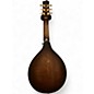 Used Gold Tone GM 6+ DARK BURST Mandolin