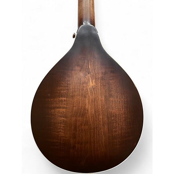Used Gold Tone GM 6+ DARK BURST Mandolin