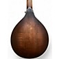 Used Gold Tone GM 6+ DARK BURST Mandolin