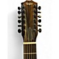 Used Taylor 250-CE-BLK Plus Black 12 String Acoustic Guitar