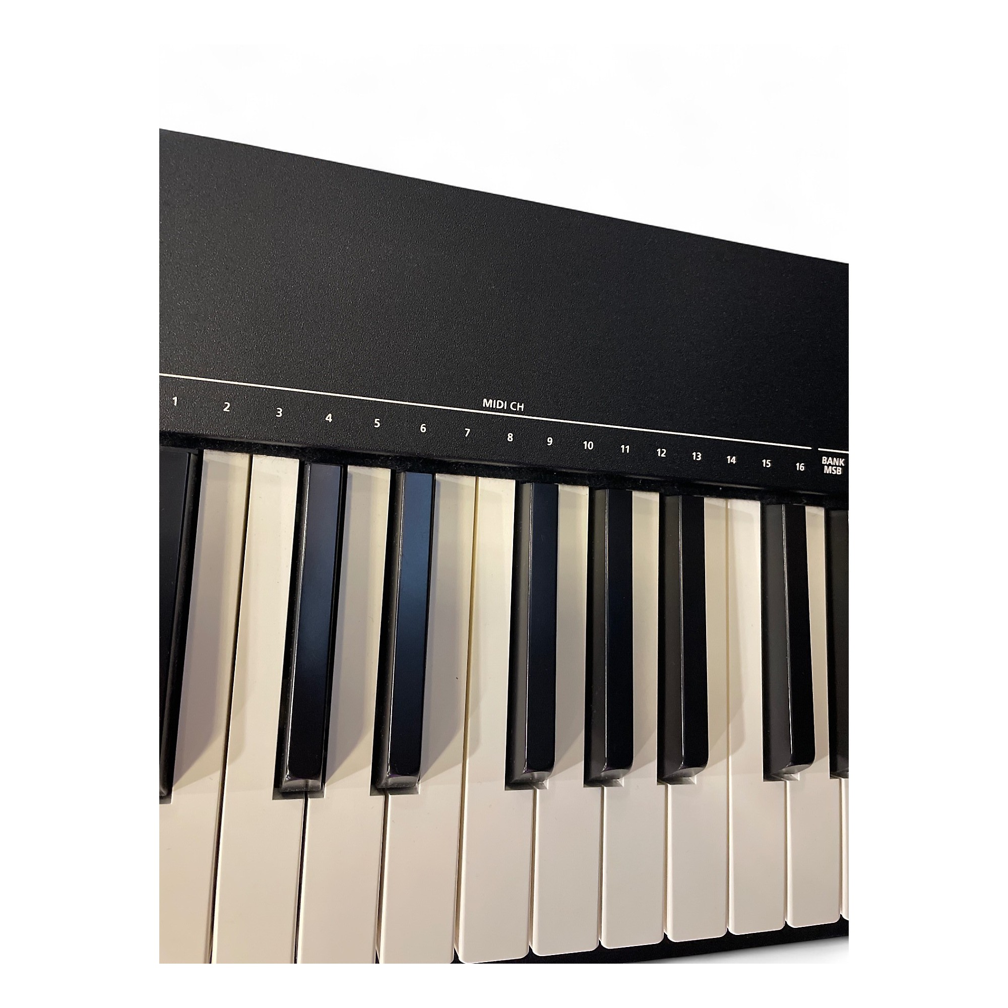 【酢酸カリウム】Roland A-88 midi controler Roland A-88 MIDI Keyboard Controller | Music & Arts