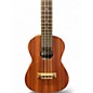 Used Cordoba UP100 Mahogany Ukulele