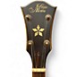 Used Morgan Monroe MC0B 600 Natural Banjo