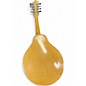 Used Kay Mandolin Natural Mandolin