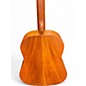 Used Martin DSS-17 WHISKEY SUNSET Acoustic Guitar