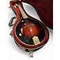 Used Michael Kelly MKASOLID A Style Tobacco Burst Mandolin