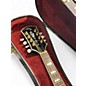 Used Michael Kelly MKASOLID A Style Tobacco Burst Mandolin