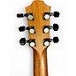 Used Furch USA22 INDIAN ROSEWOOD Acoustic Electric Guitar