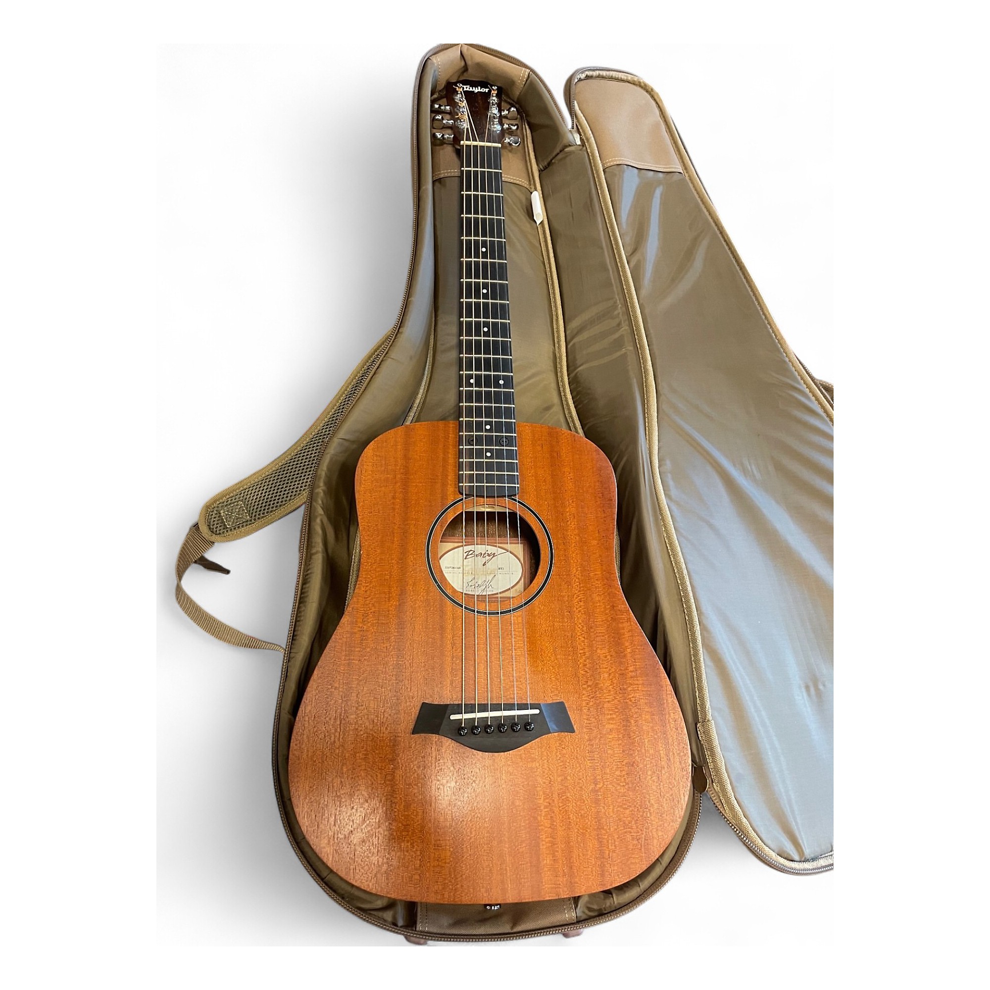 「犬神」Taylor Guitars BABY MAHOGANY BT2 Baby Mahogany (BT2) Layered Sapele Acoustic Guitar | Taylor