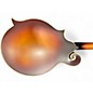Used The Loar LM310F Brown Sunburst Mandolin